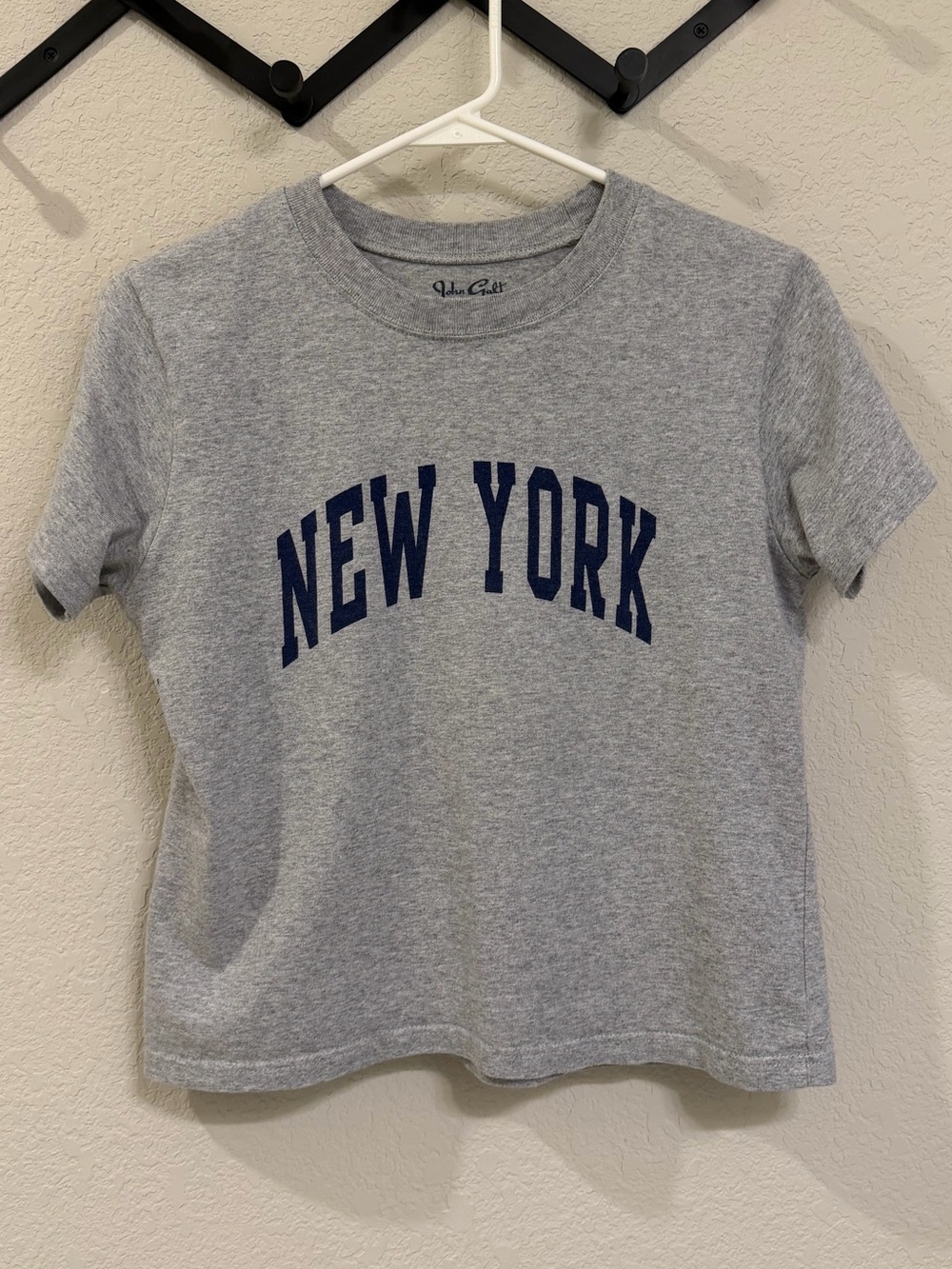 John Galt New York Cropped Graphic Tee Gray Brandy Melville EUC No Size Tag